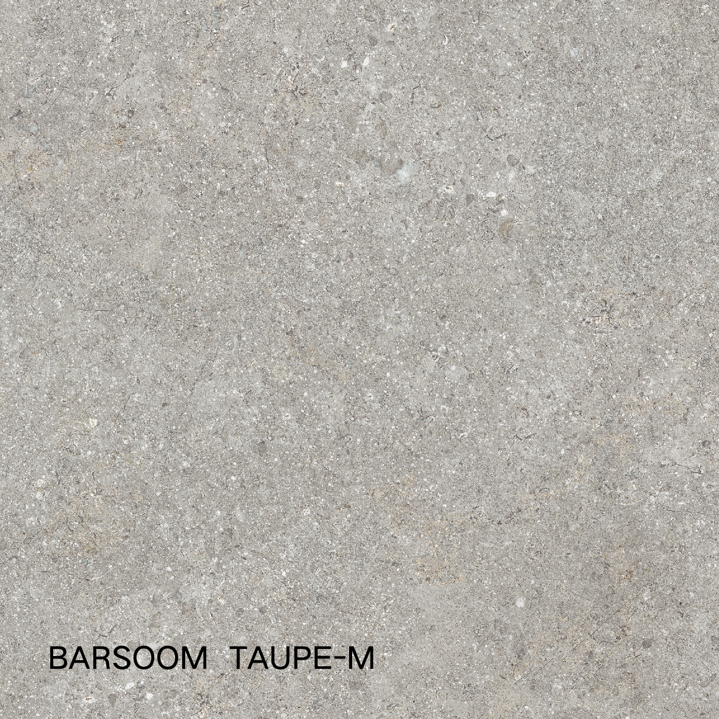 BARSOOM TAUPE-M 6120